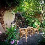Wildflower Garden