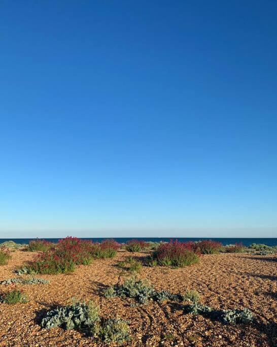 A Charming In The Heart Of Southsea Holiday home Portsmouth