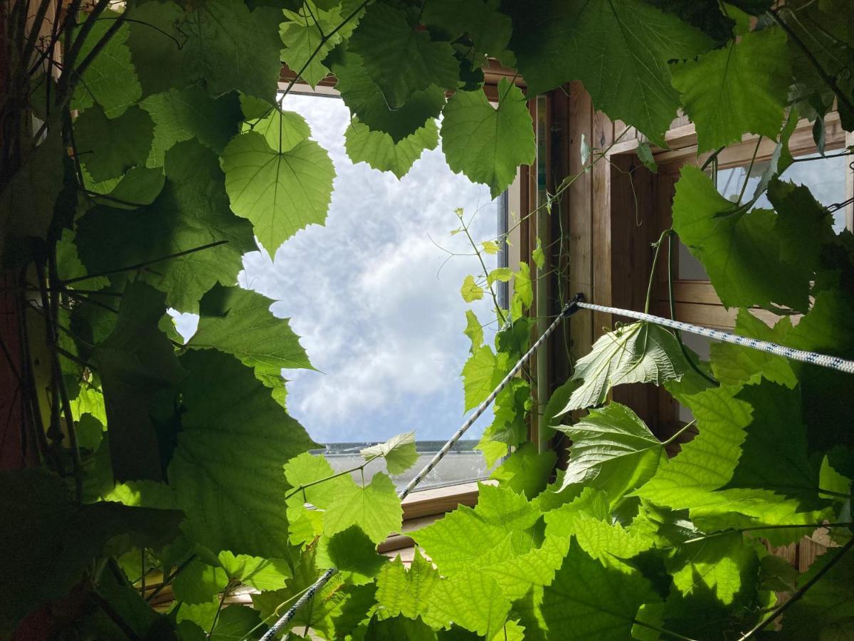 The Vineyard Holiday home