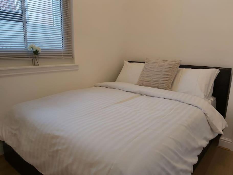 Apartment Flat 7 - Newly Renovated