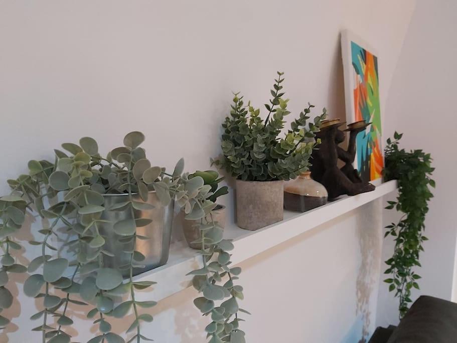 The Cozy Landport Loft Apartment