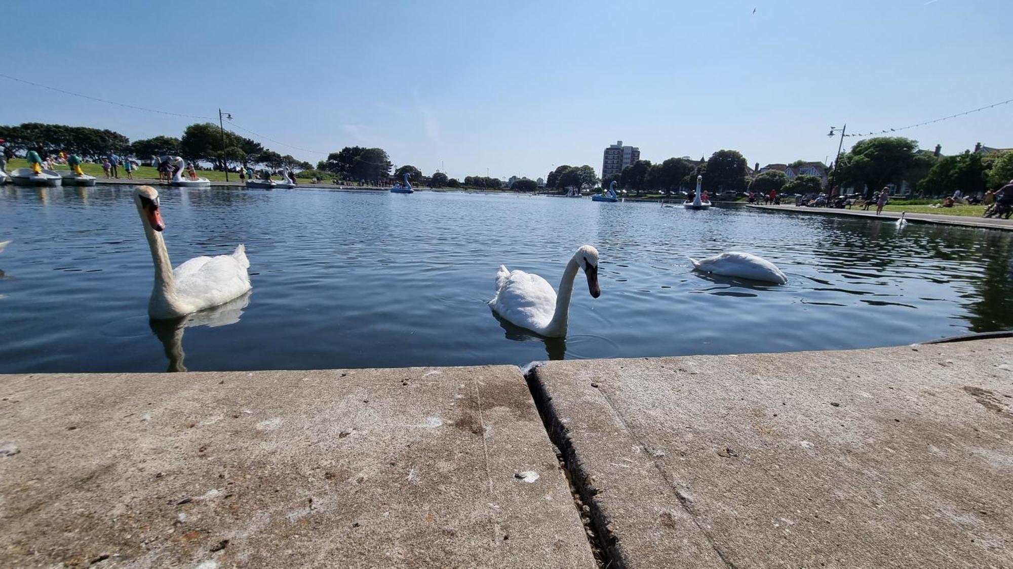 Apartment Southsea Escape - Coastal - 2 Double Bedrooms