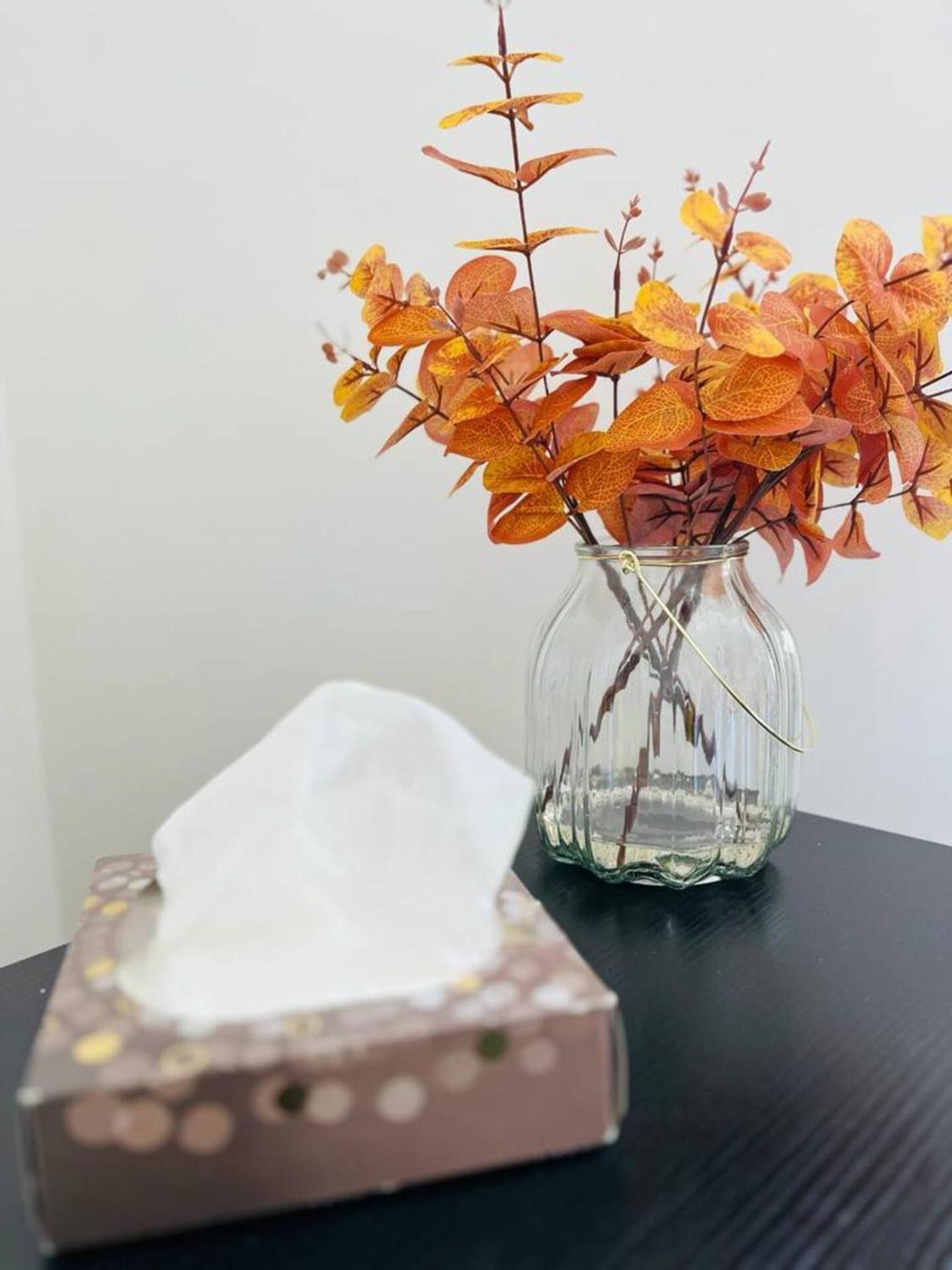 Alver House Bed & Breakfast