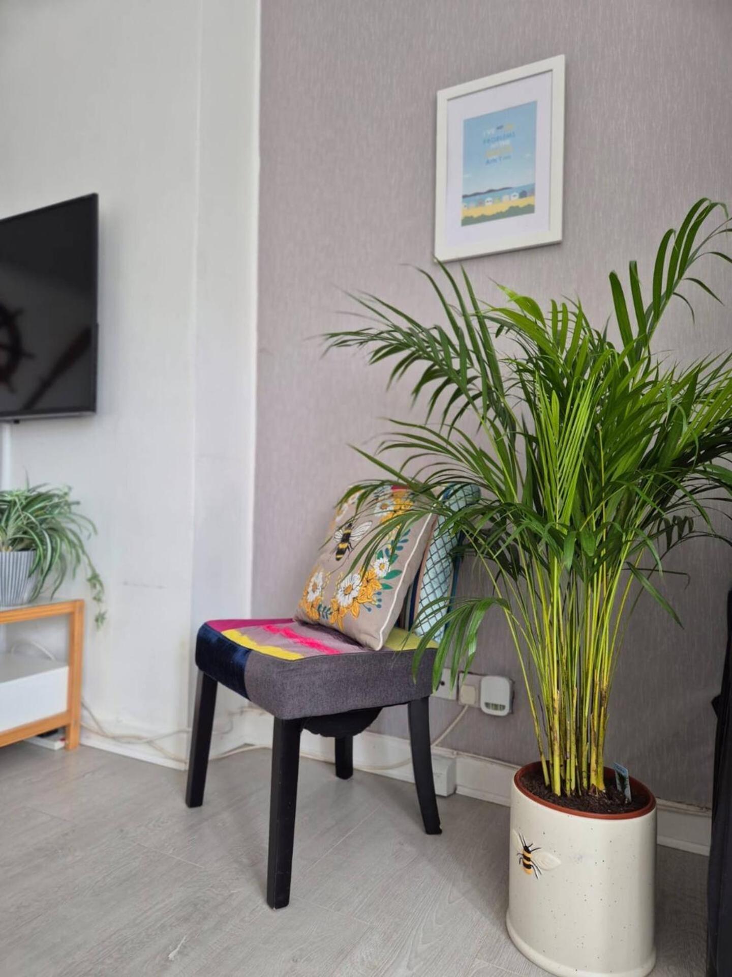 Stunning Spacious 3 Bedroom Seafront 2 Minute Walk To Beach, Shops, Restaurants Portsmouth