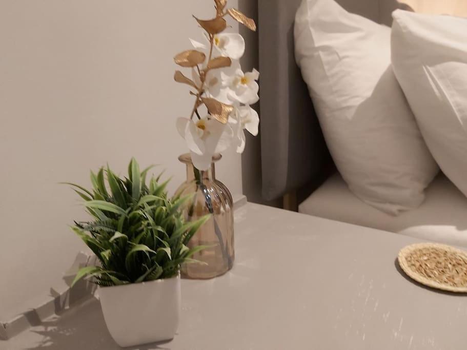 Tranquil Boho Bliss Apartment